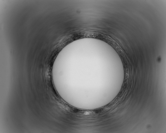 X0000100360663200806060824