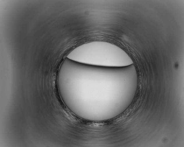 X0000100360664200806060824