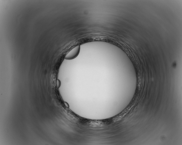 X0000100360666200806060824