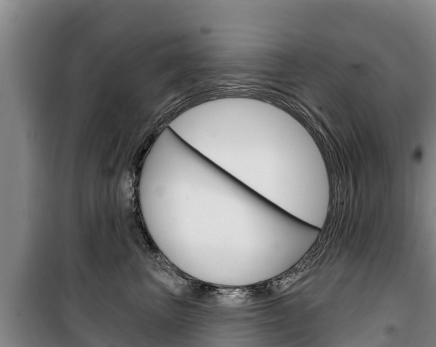X0000100360667200806060824