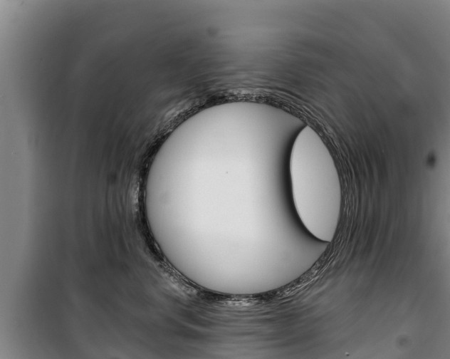 X0000100360668200806060824