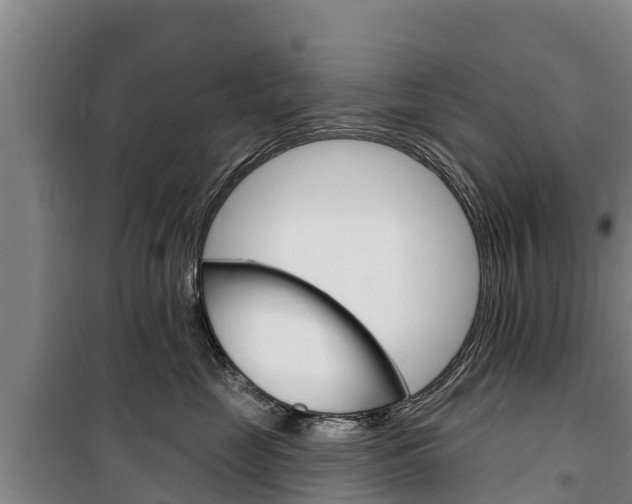X0000100360669200806060824