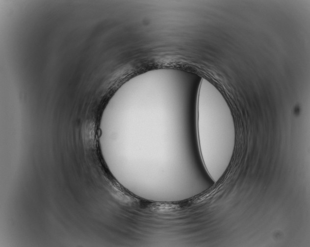 X0000100360670200806060824