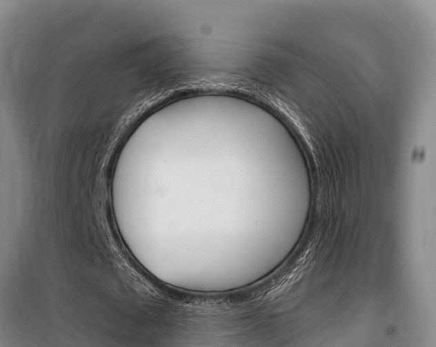 X0000100360673200806060824