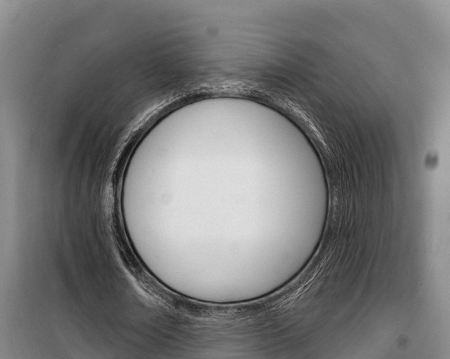 X0000100360674200806060824