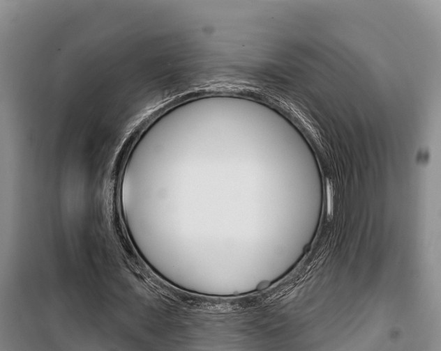 X0000100360675200806060824