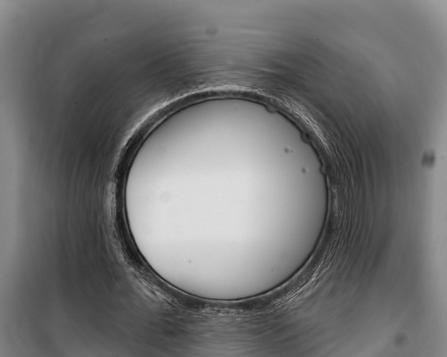 X0000100360676200806060824