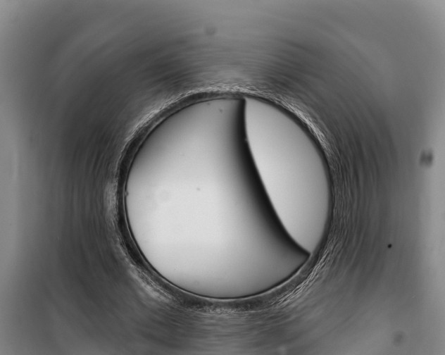 X0000100360677200806060824