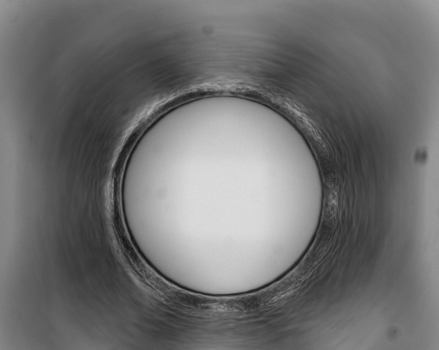 X0000100360678200806060824