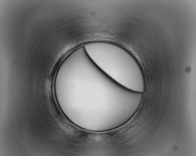 X0000100360679200806060824