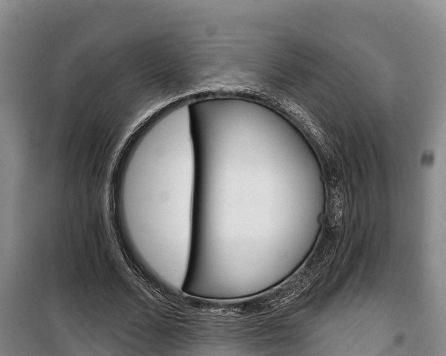X0000100360680200806060823