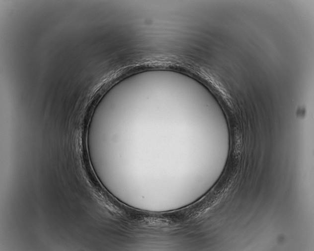 X0000100360681200806060823