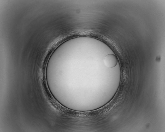 X0000100360682200806060823