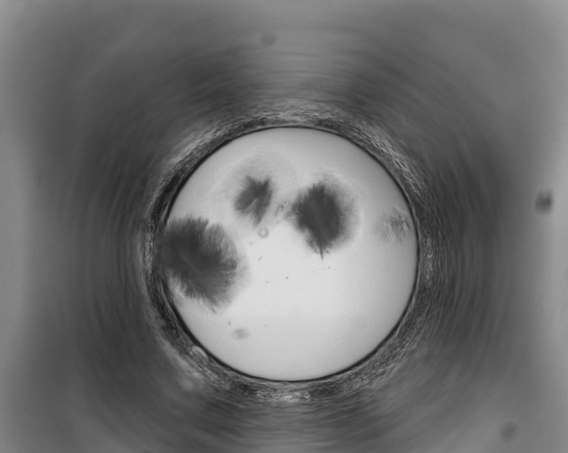 X0000100360683200806060823