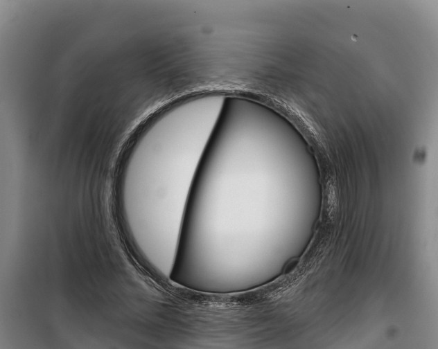 X0000100360684200806060823