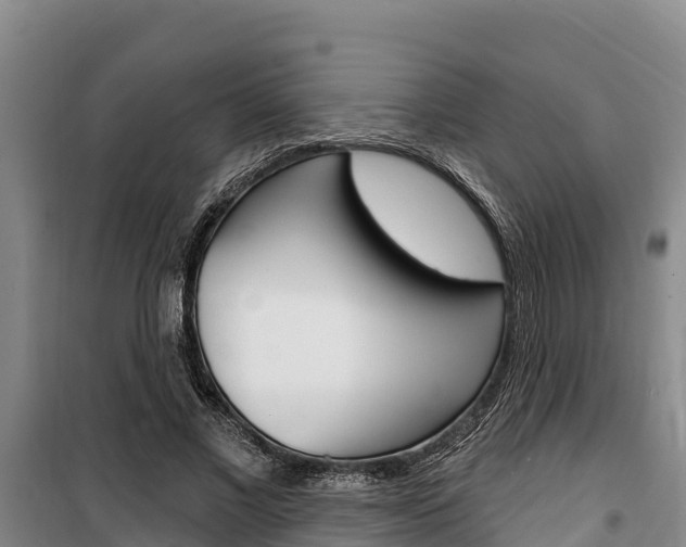 X0000100360685200806060823
