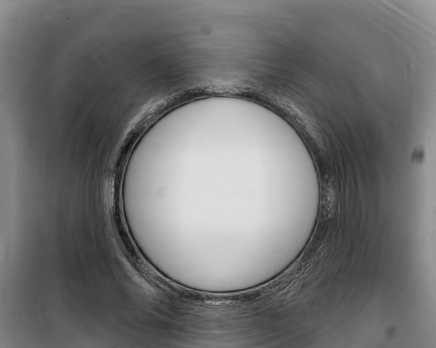 X0000100360686200806060823