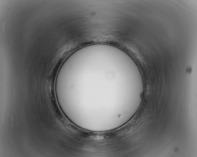 X0000100360687200806060823