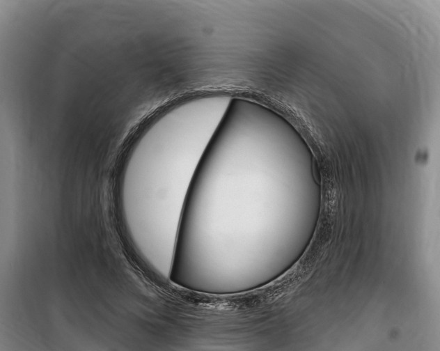 X0000100360688200806060823