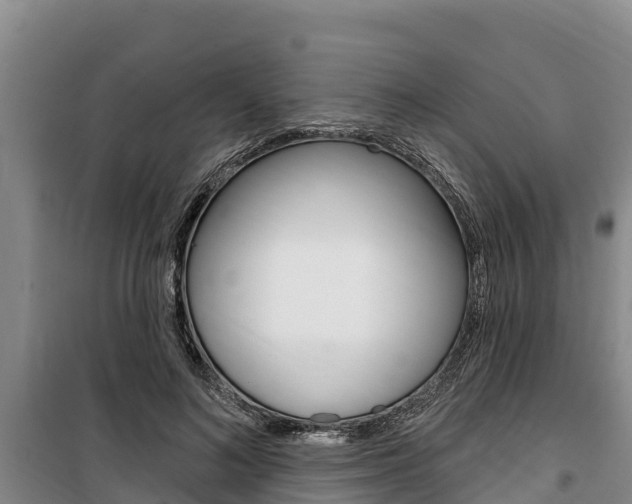 X0000100360692200806060823