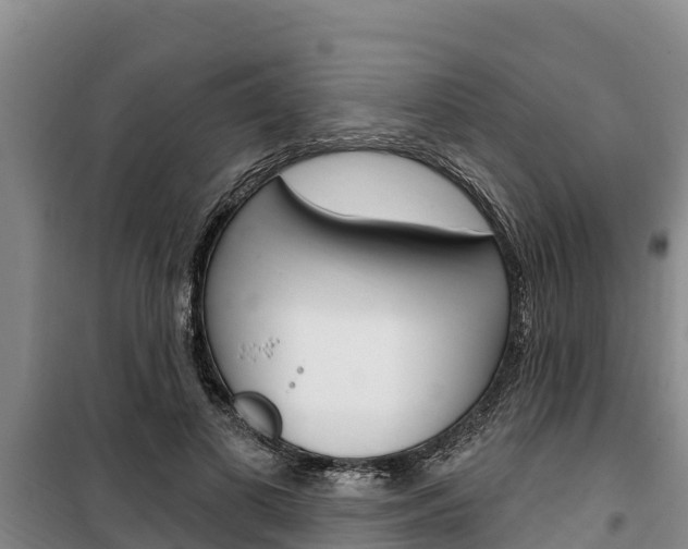 X0000100360693200806060823