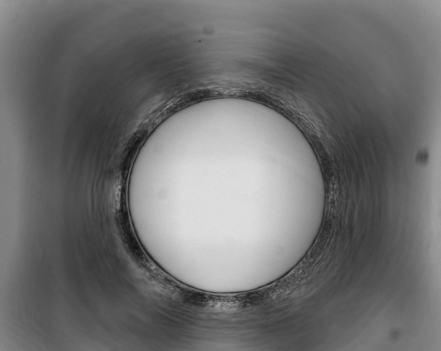 X0000100360694200806060823