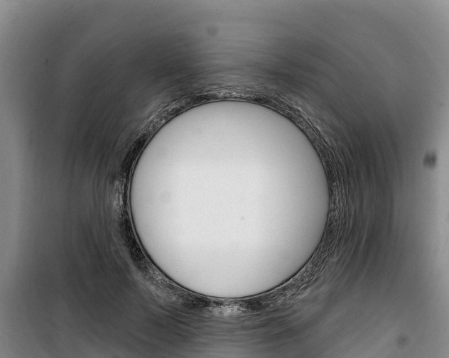 X0000100360695200806060823