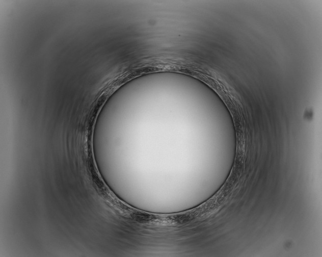 X0000100360696200806060823