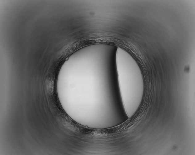 X0000100360697200806060823