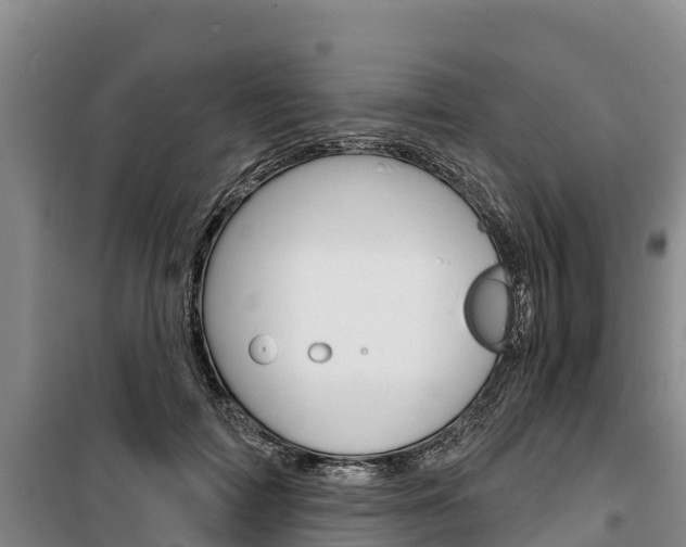 X0000100360698200806060823