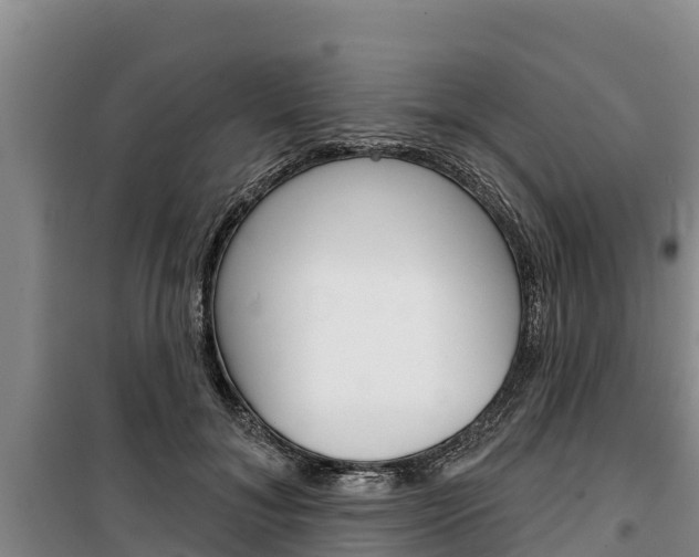 X0000100360700200806060823