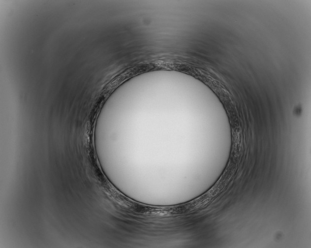 X0000100360702200806060823
