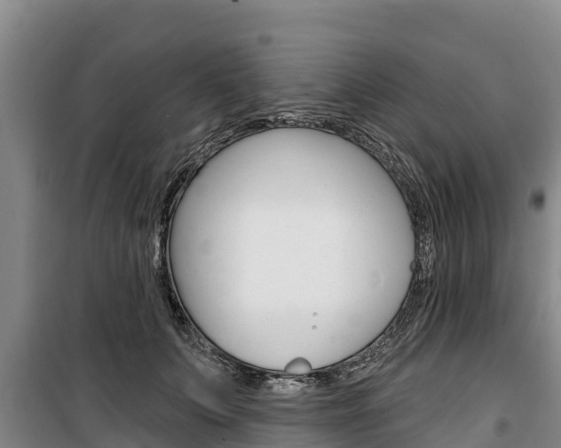 X0000100360703200806060823