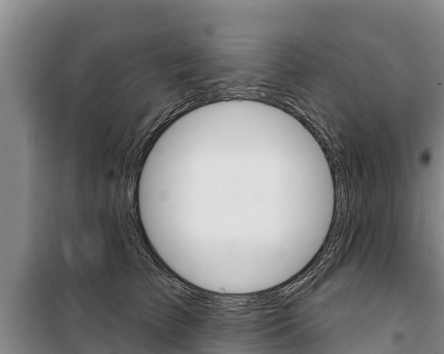 X0000100360709200806060823