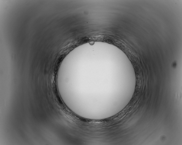 X0000100360711200806060823