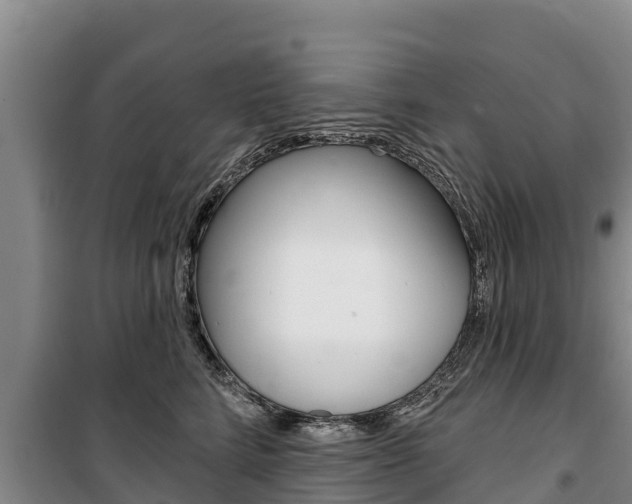 X0000100360712200806060823