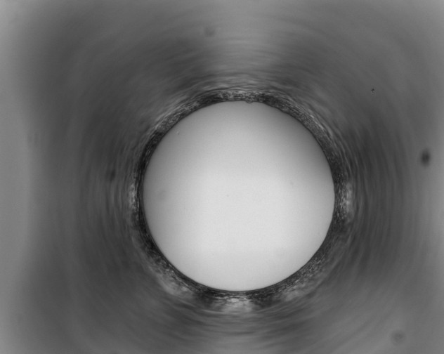 X0000100360715200806060823