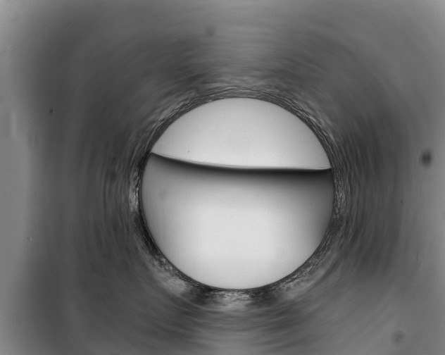 X0000100360719200806060823