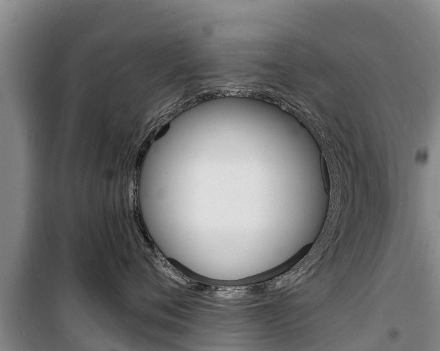 X0000100360720200806060823