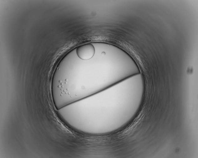 X0000100360721200806060822