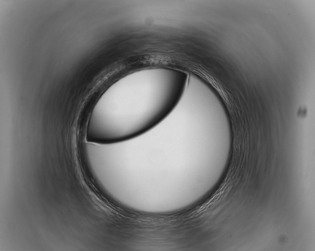X0000100360722200806060822