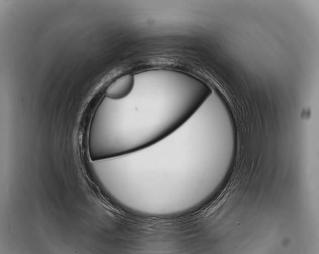 X0000100360723200806060822