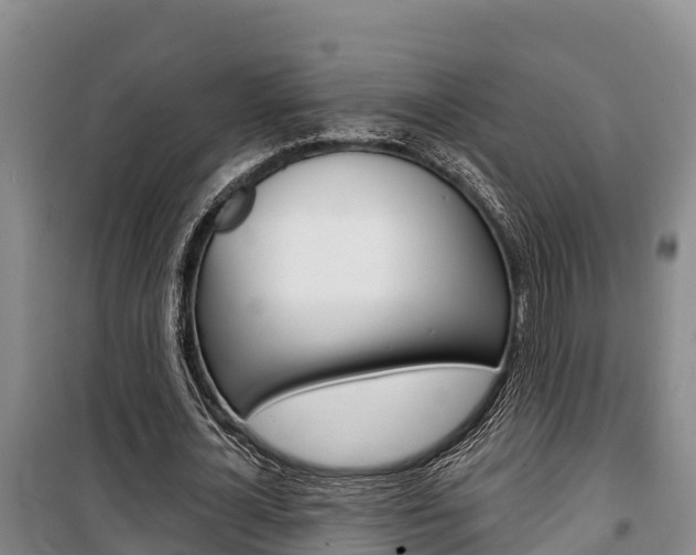 X0000100360724200806060822