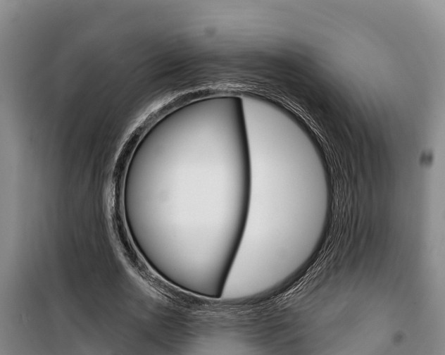 X0000100360726200806060822