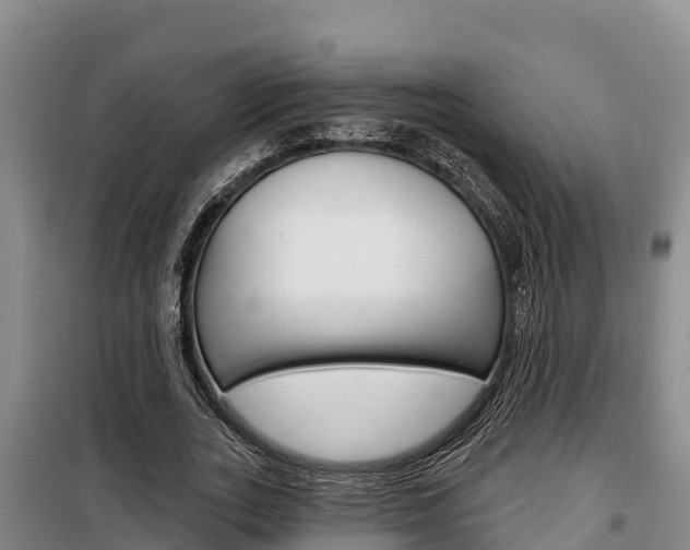 X0000100360727200806060822