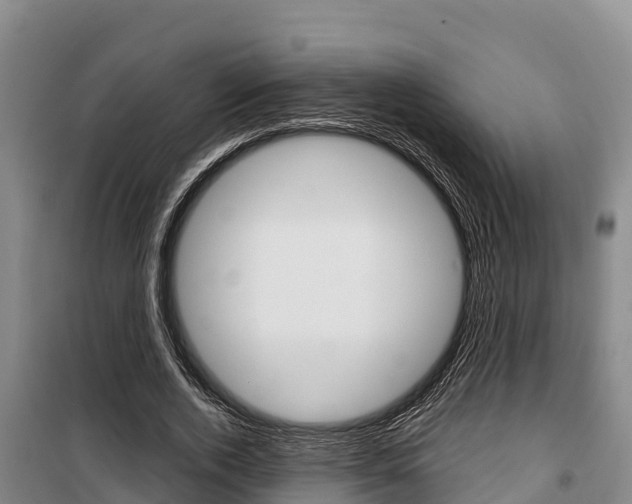 X0000100360728200806060822