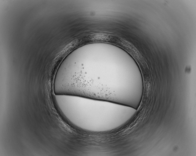 X0000100360729200806060822