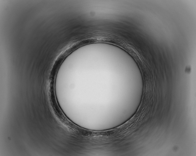 X0000100360730200806060822
