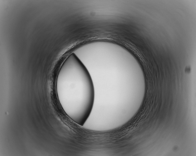 X0000100360732200806060822