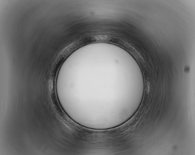 X0000100360733200806060822